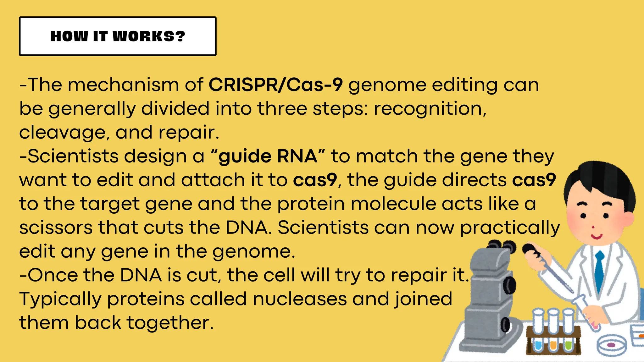 HOW IT WORKS?
-The mechanism of CRISPR/Cas-9 genome editing can
be generally divided into three steps: recognition,
cleavage, and repair.
-Scientists design a “guide RNA” to match the gene they
want to edit and attach it to cas9, the guide directs cas9
to the target gene and the protein molecule acts like a
scissors that cuts the DNA. Scientists can now practically
edit any gene in the genome.
-Once the DNA is cut, the cell will try to repair it.
Typically proteins called nucleases and joined
them back together.
 