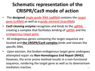 Crispr cas9 and applications of the technology | PPTX