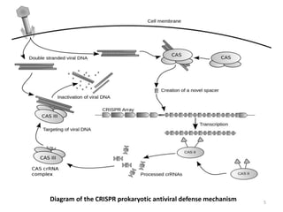 Crispr cas9 and applications of the technology | PPTX