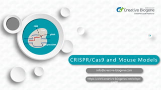 info@creative-biogene.com
CRISPR/Cas9 and Mouse Models
https://www.creative-biogene.com/crispr-
cas9/
 