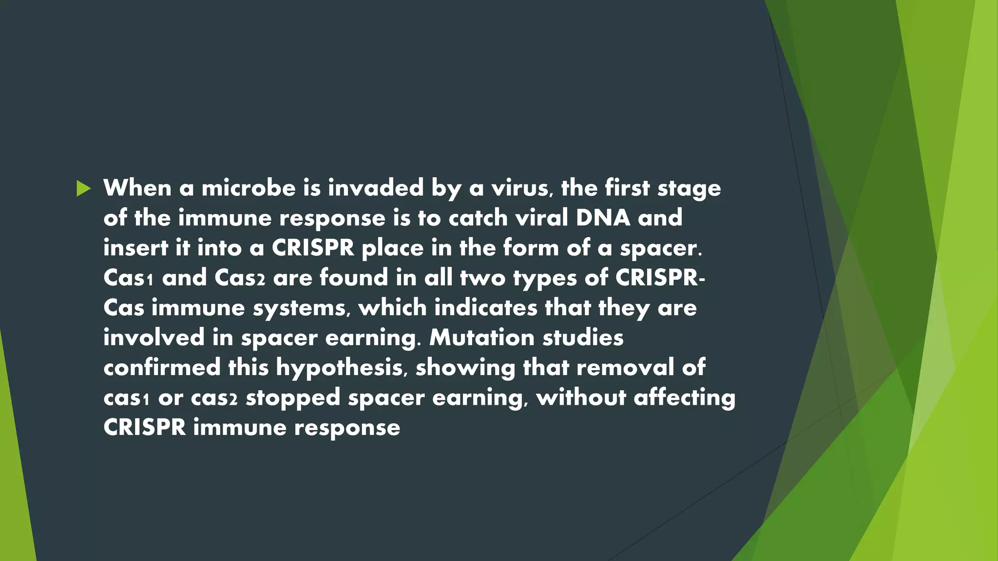  When a microbe is invaded by a virus, the first stage
of the immune response is to catch viral DNA and
insert it into a CRISPR place in the form of a spacer.
Cas1 and Cas2 are found in all two types of CRISPR-
Cas immune systems, which indicates that they are
involved in spacer earning. Mutation studies
confirmed this hypothesis, showing that removal of
cas1 or cas2 stopped spacer earning, without affecting
CRISPR immune response
 