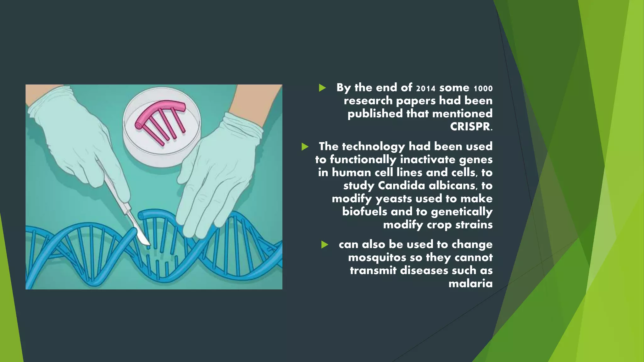  By the end of 2014 some 1000
research papers had been
published that mentioned
CRISPR.
 The technology had been used
to functionally inactivate genes
in human cell lines and cells, to
study Candida albicans, to
modify yeasts used to make
biofuels and to genetically
modify crop strains
 can also be used to change
mosquitos so they cannot
transmit diseases such as
malaria
 
