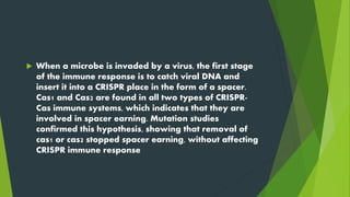  When a microbe is invaded by a virus, the first stage
of the immune response is to catch viral DNA and
insert it into a CRISPR place in the form of a spacer.
Cas1 and Cas2 are found in all two types of CRISPR-
Cas immune systems, which indicates that they are
involved in spacer earning. Mutation studies
confirmed this hypothesis, showing that removal of
cas1 or cas2 stopped spacer earning, without affecting
CRISPR immune response
 