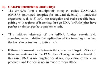 iii. CRISPR-interference /immunity:
• The crRNAs form a multiprotein complex, called CASCADE
(CRISPR-associated complex for antiviral defense) in particular
organisms such as E. coli, can recognize and make specific base-
pairing with regions of incoming foreign DNA (or RNA) that have
perfect or almost perfect complementarity
• This initiates cleavage of the crRNA–foreign nucleic acid
complex, which inhibits the replication of the invading virus and
the host shows immunity to its attack
• If there are mismatches between the spacer and target DNA or if
there are mutations in the PAM, then cleavage is not initiated. In
this case, DNA is not targeted for attack, replication of the virus
proceeds, and the host is not immune to virus attack
 