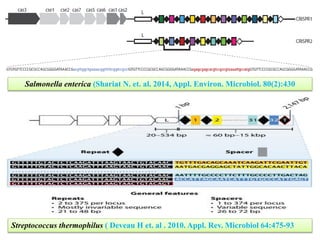 Salmonella enterica (Shariat N. et. al. 2014, Appl. Environ. Microbiol. 80(2):430
Streptococcus thermophilus ( Deveau H et. al . 2010. Appl. Rev. Microbiol 64:475-93
 