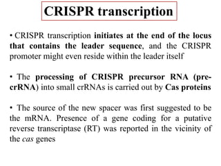 CRISPR transcription
• CRISPR transcription initiates at the end of the locus
that contains the leader sequence, and the CRISPR
promoter might even reside within the leader itself
• The processing of CRISPR precursor RNA (pre-
crRNA) into small crRNAs is carried out by Cas proteins
• The source of the new spacer was first suggested to be
the mRNA. Presence of a gene coding for a putative
reverse transcriptase (RT) was reported in the vicinity of
the cas genes
 