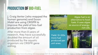 Production OF bio-fuel
J. Craig Venter (who mapped the
human genome) and Exxon
Mobil are using CRISPR to
improve the yield of bio-fuel
production from algae.
After more than 8 years of
research, they have successfully
doubled the amount of oil
produced by the aquatic
organism via CRISPR gene
editing.
Source: https://www.bloomberg.com/news/articles/2017-06-19/genome-decoder-s-fatty-algae-is-biofuel-breakthrough-for-exxon
Yield: 10-100x
more fuel
produced per
unit area.
Algae fuel is an
alternative to fossil
fuels. It uses algae
as source of energy-
rich oils.
 