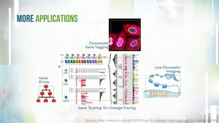 More Applications
Gene ‘Scaring’ for Lineage Tracing
Fluorescent
Gene Tagging
Live Chromatin
Imaging
Gene
Drives
Source: https://medium.com/@32ATPs/top-10-crispiest-crispr-applications-33db9cc3ef5b
 