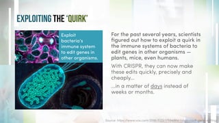 Source: https://www.vox.com/2018/7/23/17594864/crispr-cas9-gene-editing
For the past several years, scientists
ﬁgured out how to exploit a quirk in
the immune systems of bacteria to
edit genes in other organisms —
plants, mice, even humans.
With CRISPR, they can now make
these edits quickly, precisely and
cheaply…
...in a matter of days instead of
weeks or months.
EXPLOITING THE ‘Quirk’
Exploit
bacteria’s
immune system
to edit genes in
other organisms.
 