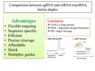 Crispr m.raveendra reddy | PPTX