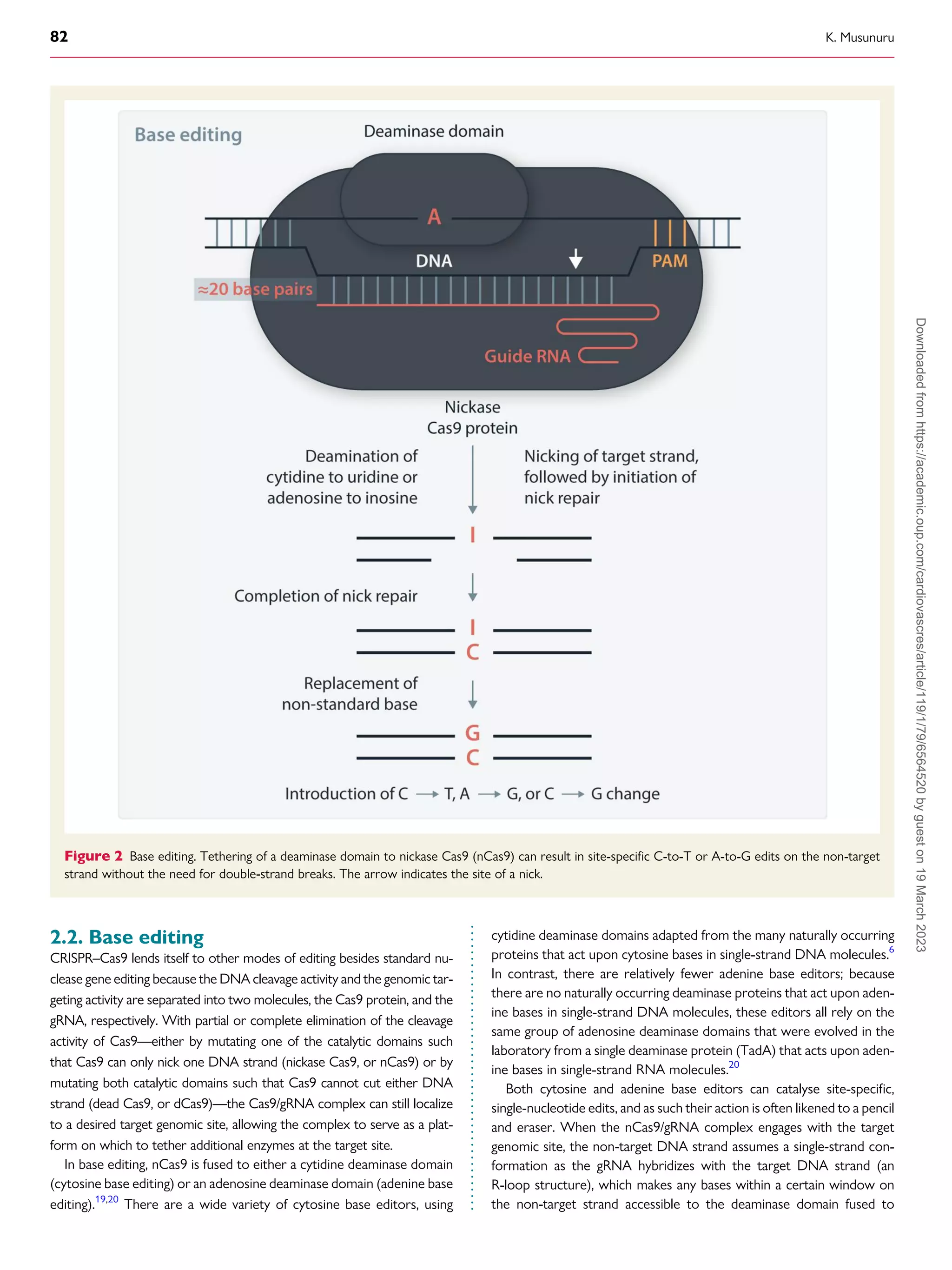 CRISPR and cardiovascular diseases.pdf