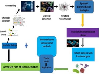 CRISPR and Synthetic biology in bioremediation.pptx