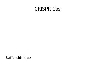 CRISPR Cas
Raffia siddique
 