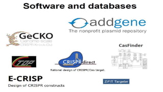 Crispr cas: A new tool of genome editing | PPTX