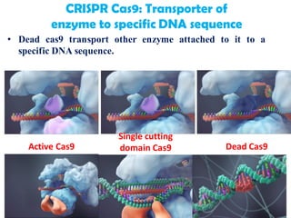 Crispr cas9 | PDF