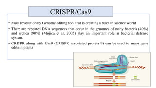 CRISPR CAS9.pptx