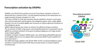 Transcription activation by CRISPRa
CRISPRa, uses dCas9 fusion proteins to recruit transcription activators. A fusion of
dCas9 with the ω-subunit of the E. coli Poll allowed assembly of the holoenzyme at a
target promoter for gene activation in E. Coli.
The fusion of VP64 or of the p65 activation domain (p65AD) to dCas9 in mammalian
cells could activate both reporter genes and endogenous genes, with a single sgRNA.
However, the use of multiple sgRNAs was necessary to achieve significant activation of
the endogenous genes.
sgRNA engineering was also shown to enhance the efficiency of gene activation.
The recruitment of VP64 using protein-interacting RNA aptamers incorporated into the
sgRNA has achieved activation of the gene encoding endogenous zinc-finger protein
using multiple sgRNAs.
synergistic activation mediator (SAM) system, was achieved by adding MS2 aptamers
to the sgRNA; MS2 recruits its cognate MS2 coat protein (MCP) fused to p65AD and
heat shock factor 1.
The SAM technology, together with dCas9–VP64, further increased endogenous gene
activation compared with dCas9–VP64 alone and was shown to activate 10 genes
simultaneously.
 