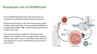 Therapeutic role of CRISPR/Cas9
The first CRISPR-based therapy in the human trial was
conducted to treat patients with refractory lung cancer.
Researchers first extract T-cells from three patient’s blood
and they engineered them in the lab through CRISPR/Cas-9
to delete genes (TRAC, TRBC, and PD-1) that would interfere
to fight cancer cells.
Then, they infused the modified T-cells back into the
patients. The modified T-cells can target specific antigens
and kill cancer cells. Finally, no side effects were observed
and engineered T-cells can be detected up to 9 months of
post-infusion.
 