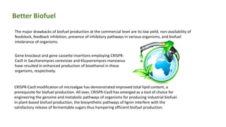 Better Biofuel
The major drawbacks of biofuel production at the commercial level are its low yield, non-availability of
feedstock, feedback inhibition, presence of inhibitory pathways in various organisms, and biofuel
intolerance of organisms.
Gene knockout and gene cassette insertions employing CRISPR-
Cas9 in Saccharomyces cerevisiae and Kluyveromyces marxianus
have resulted in enhanced production of bioethanol in these
organisms, respectively.
CRISPR-Cas9 modification of microalgae has demonstrated improved total lipid content, a
prerequisite for biofuel production. All over, CRISPR-Cas9 has emerged as a tool of choice for
engineering the genome and metabolic pathways of organisms for producing industrial biofuel.
In plant-based biofuel production, the biosynthetic pathways of lignin interfere with the
satisfactory release of fermentable sugars thus hampering efficient biofuel production.
 
