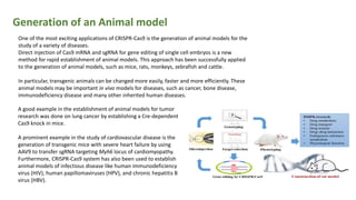 Generation of an Animal model
One of the most exciting applications of CRISPR-Cas9 is the generation of animal models for the
study of a variety of diseases.
Direct injection of Cas9 mRNA and sgRNA for gene editing of single cell embryos is a new
method for rapid establishment of animal models. This approach has been successfully applied
to the generation of animal models, such as mice, rats, monkeys, zebrafish and cattle.
In particular, transgenic animals can be changed more easily, faster and more efficiently. These
animal models may be important in vivo models for diseases, such as cancer, bone disease,
immunodeficiency disease and many other inherited human diseases.
A good example in the establishment of animal models for tumor
research was done on lung cancer by establishing a Cre-dependent
Cas9 knock in mice.
A prominent example in the study of cardiovascular disease is the
generation of transgenic mice with severe heart failure by using
AAV9 to transfer sgRNA targeting Myh6 locus of cardiomyopathy.
Furthermore, CRISPR-Cas9 system has also been used to establish
animal models of infectious disease like human immunodeficiency
virus (HIV), human papillomaviruses (HPV), and chronic hepatitis B
virus (HBV).
 