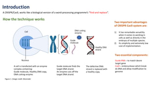 Introduction
A CRISPR/Cas9, works like a biological version of a word-processing programme’s “find and replace”.
How the technique works
A cell is transfected with an enzyme
complex containing:
Guide molecule, Healthy DNA copy,
DNA cutting enzyme.
Guide molecule finds the
target DNA strand.
An enzyme cuts off the
target DNA strand.
The defective DNA
strand is replaced with
a healthy copy.
Two important advantages
of CRISPR Cas9 system are:
1) It has remarkable versatility
when it comes to working in
cells as well as directly in the
embryos of multiple species.
2) Its simplicity and extremely low
cost of implementation.
Two essential components:
Guide RNA – to match desire
target gene
Cas9 – endonuclease which break
ds DNA and allow modification to
genome
Figure 1: Image credit: Biorender
 