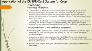 Genome editing tool Crispr Cas 9 in modifying Plant Genome | PPTX