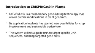 CRISPR/Cas9 Applications in Plant Genome Editing for Crop Improvement ...
