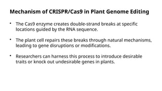 CRISPR/Cas9 Applications in Plant Genome Editing for Crop Improvement ...