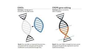 CRISPR/Cas9 Applications in Plant Genome Editing for Crop Improvement ...