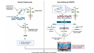 CRISPR/Cas9 Applications in Plant Genome Editing for Crop Improvement ...