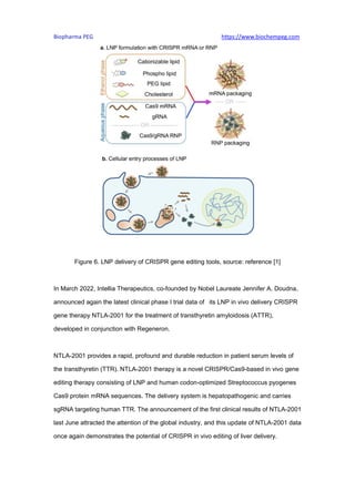 CRISPRCas9 Gene Therapy Delivery Strategies.pdf