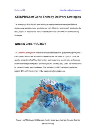 Biopharma PEG https://www.biochempeg.com
CRISPR/Cas9 Gene Therapy Delivery Strategies
The emerging CRISPR/Cas9 gene editing technology has the advantages of simple
design, easy operation, good specificity and high efficiency, which greatly accelerates the
R&D process in life sciences. Here, we briefly introduce CRISPR/Cas9 and its delivery
strategies.
What is CRISPR/Cas9?
The CRISPR/Cas9 system consists of a single-stranded small guide RNA (sgRNA) and a
Cas9 protein with nucleic acid endonuclease function, as shown in Figure 1. Under the
specific recognition of sgRNA, Cas9 protein reaches genome-specific sites and cleaves
double-stranded (dsDNA) DNA, generating dsDNA breaks (DSB). DSBs are then repaired
by cell-autonomous non-homologous DNA end joining (NHEJ) or homology-directed
repair (HDR), with the dominant NHEJ repair prone to mutagenesis.
Figure 1. sgRNA (blue), CAS9 protein (white), target gene (orange) (Source: Science
official website)
 