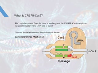 What	is	CRISPR-Cas9?
The copied sequence from the virus is used to guide the CRISPR-Cas9 complex to
the complementary vira...