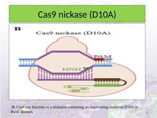 crispr cas nine modification techniques | PPTX