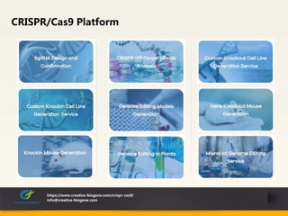 CRISPR/Cas9 Platform
https://www.creative-biogene.com/crispr-cas9/
info@creative-biogene.com
 