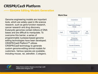 CRISPR/Cas9 Platform
—— Genome Editing Models Generation
https://www.creative-biogene.com/crispr-cas9/
info@creative-biogene.com
Genome engineering models are important
tools, which are widely used in life science
research, such as gene function research,
cancer research and drug discovery.
Eukaryotic genomes contain billions of DNA
bases and are difficult to manipulate. To
overcome this barrier, a series of
programmable nuclease-based genome
editing technologies have been developed.
CRISPR/Cas9 PlatformCB utilizes
CRISPR/Cas9 technology to generate
custom genome-editing animal models for
customers. Various species are available,
including mouse, rat, zebrafish, C.elegans.
Work flow
 