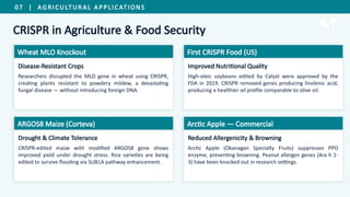 Mlo Rice Comprehensive Beginner's Guide to CRISPR-Cas9 Genome Editing Technology ...