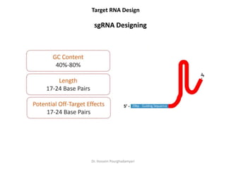 CRISPR Cas System concept | PPTX