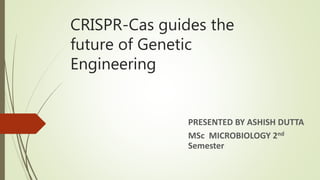 CRISPR-Cas guides the
future of Genetic
Engineering
PRESENTED BY ASHISH DUTTA
MSc MICROBIOLOGY 2nd
Semester
 