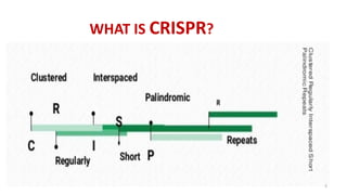 WHAT IS CRISPR?
5
 