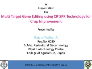 Multi Target Gene Editing using CRISPR Technology for Crop Improvement ...