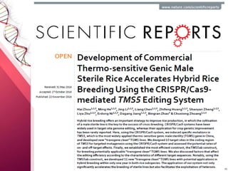CRISPR in crop Improvement, CRISPR/Cas Genome editing tool | PPTX