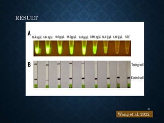 RESULT
Wang et al. 2022
40
 