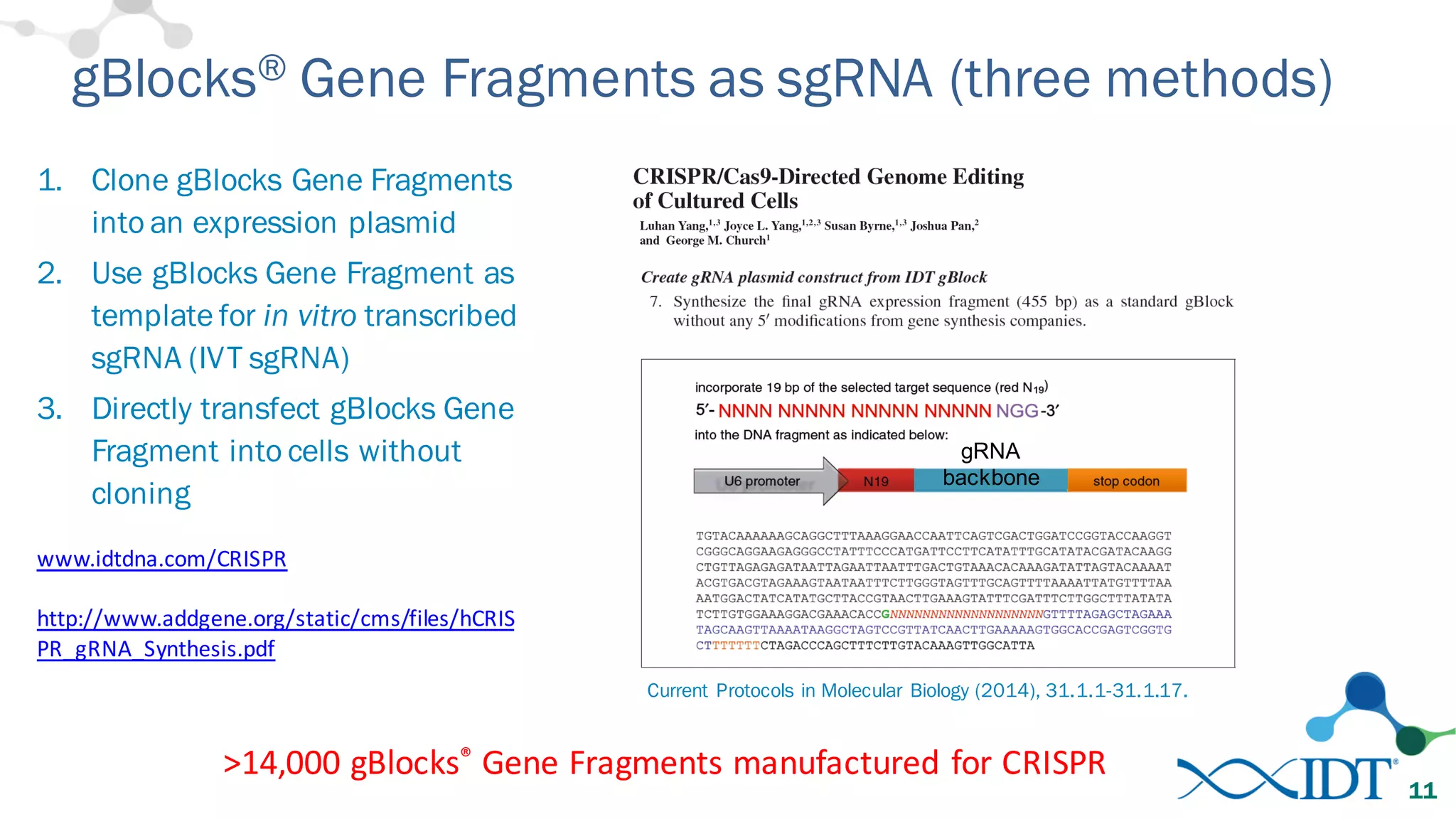 gBlocks® Gene Fragments as sgRNA (three methods)
1. Clone gBlocks Gene Fragments
into an expression plasmid
2. Use gBlocks Gene Fragment as
template for in vitro transcribed
sgRNA (IVT sgRNA)
3. Directly transfect gBlocks Gene
Fragment into cells without
cloning
11
www.idtdna.com/CRISPR
http://www.addgene.org/static/cms/files/hCRIS
PR_gRNA_Synthesis.pdf
gRNA
backbone
Current Protocols in Molecular Biology (2014), 31.1.1-31.1.17.
>14,000	
  gBlocks® Gene	
  Fragments	
  manufactured	
  for	
  CRISPR
 