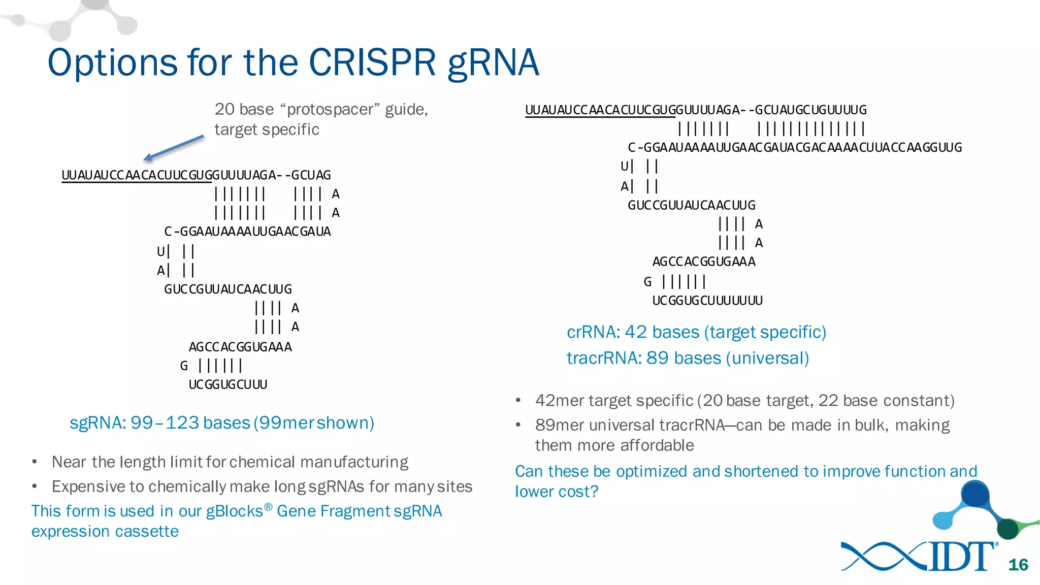 Options for the CRISPR gRNA
16
UUAUAUCCAACACUUCGUGGUUUUAGA-­‐-­‐GCUAG
|||||||      ||||  A
|||||||      ||||  A
C-­‐GGAAUAAAAUUGAACGAUA
U|  ||
A|  ||
GUCCGUUAUCAACUUG
||||  A
||||  A
AGCCACGGUGAAA
G  ||||||
UCGGUGCUUU
sgRNA: 99–123 bases (99mershown)
20 base “protospacer” guide,
target specific
• Near the length limit for chemical manufacturing
• Expensive to chemically make long sgRNAs for many sites
This form is used in our gBlocks®
Gene Fragment sgRNA
expression cassette
UUAUAUCCAACACUUCGUGGUUUUAGA-­‐-­‐GCUAUGCUGUUUUG
|||||||      ||||||||||||||
C-­‐GGAAUAAAAUUGAACGAUACGACAAAACUUACCAAGGUUG
U|  ||
A|  ||
GUCCGUUAUCAACUUG
||||  A
||||  A
AGCCACGGUGAAA
G  ||||||
UCGGUGCUUUUUUU
crRNA: 42 bases (target specific)
tracrRNA: 89 bases (universal)
• 42mer target specific (20 base target, 22 base constant)
• 89mer universal tracrRNA—can be made in bulk, making
them more affordable
Can these be optimized and shortened to improve function and
lower cost?
 