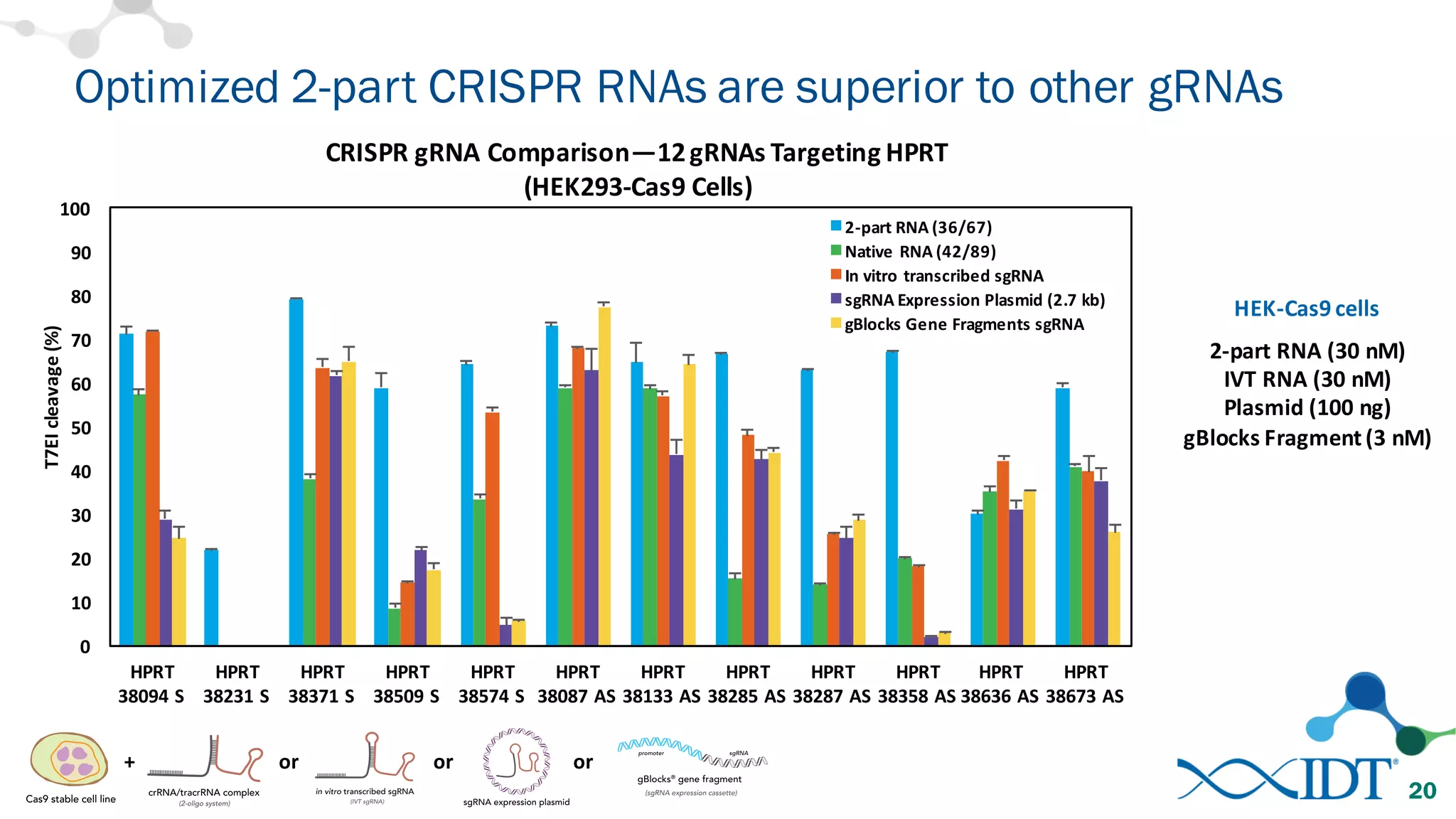 0
10
20
30
40
50
60
70
80
90
100
HPRT	
  
38094	
  S
HPRT	
  
38231	
  S
HPRT	
  
38371	
  S
HPRT	
  
38509	
  S
HPRT	
  
38574	
  S
HPRT	
  
38087	
  AS
HPRT	
  
38133	
  AS
HPRT	
  
38285	
  AS
HPRT	
  
38287	
  AS
HPRT	
  
38358	
  AS
HPRT	
  
38636	
  AS	
  
HPRT	
  
38673	
  AS	
  
T7EI	
  cleavage	
  (%)
CRISPR	
  gRNA	
  Comparison—12	
  gRNAs	
  Targeting	
  HPRT
(HEK293-­‐Cas9	
  Cells)
2-­‐part	
  RNA	
  (36/67)
Native	
  RNA	
  (42/89)
In	
  vitro	
  transcribed	
  sgRNA
sgRNA	
  Expression	
  Plasmid	
  (2.7	
  kb)
gBlocks	
  Gene	
  Fragments	
  sgRNA
Optimized 2-part CRISPR RNAs are superior to other gRNAs
20
HEK-­‐Cas9	
  cells
2-­‐part	
  RNA	
  (30	
  nM)
IVT	
  RNA	
  (30	
  nM)
Plasmid	
  (100	
  ng)
gBlocks	
  Fragment	
  (3	
  nM)
+ or or or
 