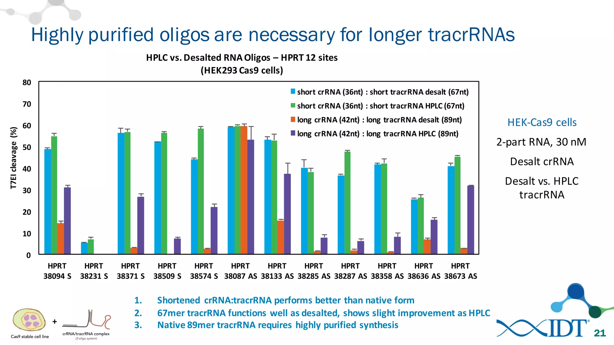 Highly purified oligos are necessary for longer tracrRNAs
21
HEK-­‐Cas9	
  cells
2-­‐part	
  RNA,	
  30	
  nM
Desalt	
  crRNA
Desalt	
  vs.	
  HPLC	
  
tracrRNA
1. Shortened	
   crRNA:tracrRNA performs	
  better	
  than	
  native	
  form
2. 67mer	
  tracrRNA	
  functions	
  well	
  as	
  desalted,	
  shows	
  slight	
  improvement	
  as	
  HPLC
3. Native	
  89mer	
  tracrRNA	
  requires	
  highly	
  purified	
  synthesis
0
10
20
30
40
50
60
70
80
HPRT	
  
38094	
  S
HPRT	
  
38231	
  S
HPRT	
  
38371	
  S
HPRT	
  
38509	
  S
HPRT	
  
38574	
  S
HPRT	
  
38087	
  AS
HPRT	
  
38133	
  AS
HPRT	
  
38285	
  AS
HPRT	
  
38287	
  AS
HPRT	
  
38358	
  AS
HPRT	
  
38636	
  AS
HPRT	
  
38673	
  AS
T7EI	
  cleavage	
  	
  (%)
HPLC	
  vs.	
  Desalted	
  RNA	
  Oligos	
  – HPRT	
  12	
  sites
(HEK293	
  Cas9	
  cells)
short	
  crRNA	
  (36nt)	
  :	
  short	
  tracrRNA	
  desalt	
  (67nt)
short	
  crRNA	
  (36nt)	
  :	
  short	
  tracrRNA	
  HPLC	
  (67nt)
long	
  crRNA	
  (42nt)	
  :	
  long	
  tracrRNA	
  desalt	
  (89nt)
long	
  crRNA	
  (42nt)	
  :	
  long	
  tracrRNA	
  HPLC	
  (89nt)
+
 