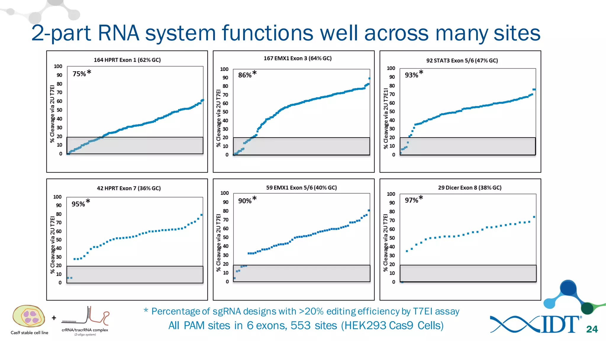 2-part RNA system functions well across many sites
24All PAM sites in 6 exons, 553 sites (HEK293 Cas9 Cells)
* **
* * *
* Percentageof sgRNA designs with >20% editing efficiency by T7EI assay
+
 