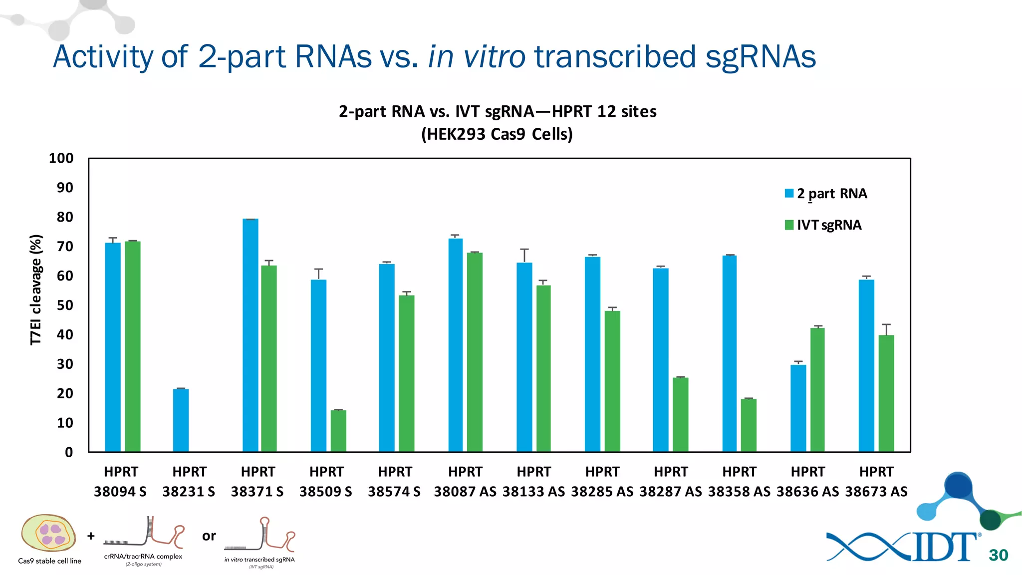 Activity of 2-part RNAs vs. in vitro transcribed sgRNAs
30
0
10
20
30
40
50
60
70
80
90
100
HPRT	
  
38094	
  S	
  
HPRT	
  
38231	
  S	
  
HPRT	
  
38371	
  S	
  
HPRT	
  
38509	
  S	
  
HPRT	
  
38574	
  S	
  
HPRT	
  
38087	
  AS
HPRT	
  
38133	
  AS
HPRT	
  
38285	
  AS
HPRT	
  
38287	
  AS
HPRT	
  
38358	
  AS
HPRT	
  
38636	
  AS
HPRT	
  
38673	
  AS
T7EI	
  cleavage	
  (%)
2-­‐part	
  RNA	
  vs.	
  IVT	
  sgRNA—HPRT	
  12	
  sites
(HEK293	
  Cas9	
  Cells)	
  
2	
  part	
  RNA	
  
IVT	
  sgRNA
-­‐
+ or
 