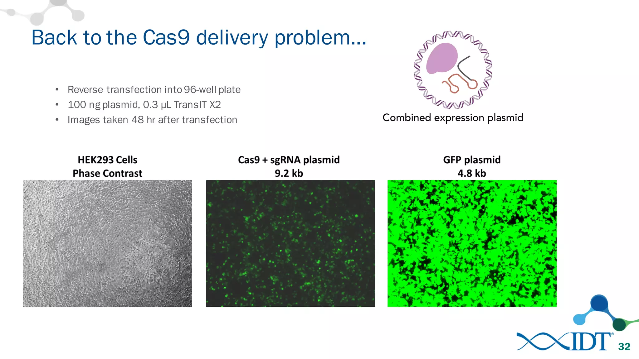 • Reverse transfection into96-well plate
• 100 ng plasmid, 0.3 µL TransIT X2
• Images taken 48 hr after transfection
Back to the Cas9 delivery problem…
32
 
